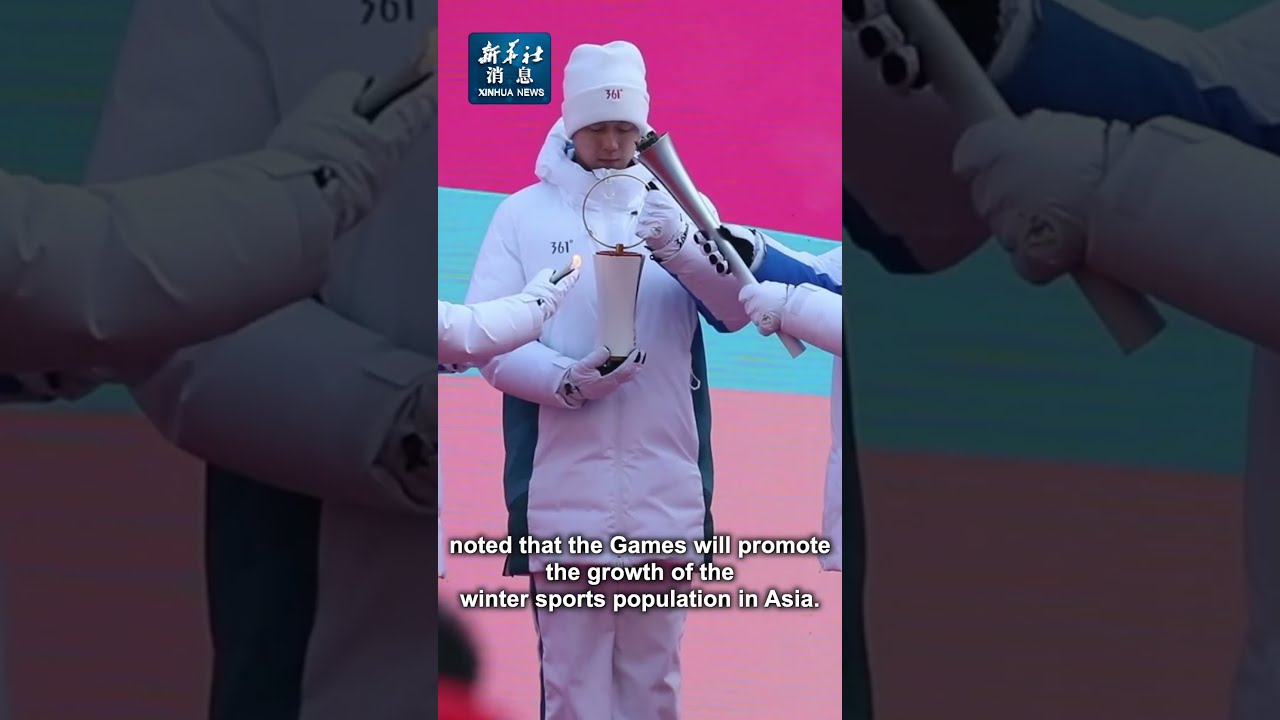 身的阵容