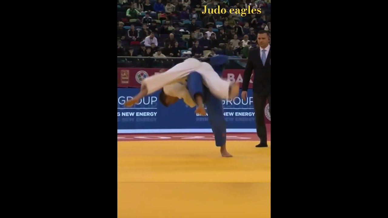 瑞士